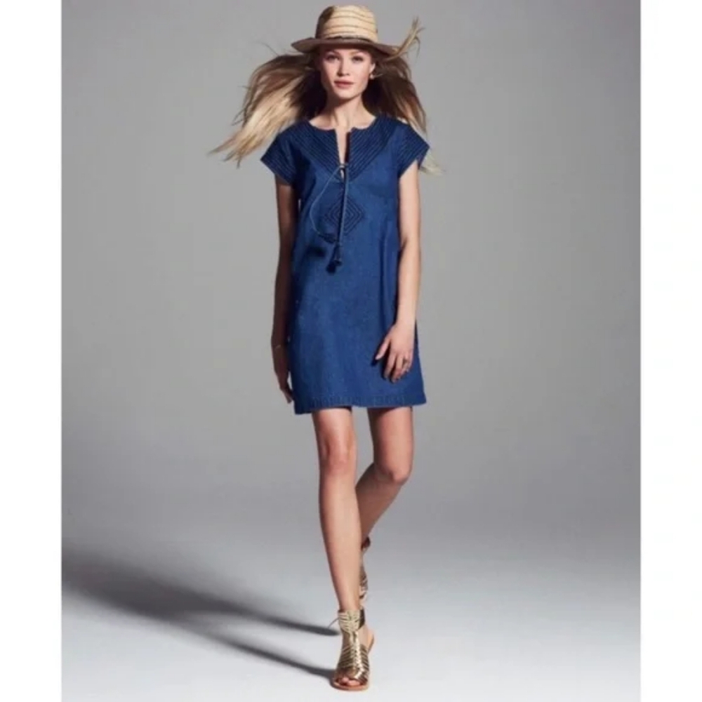 Calypso St. Barth Joudsa Denim Mini Dress